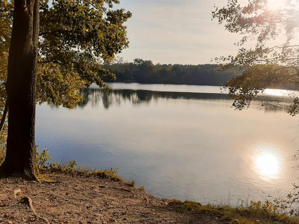 Acacia 1 Hengelhoef Aan de Wolfsberg Екстериор снимка